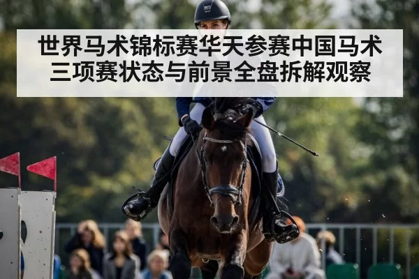 show jumping horse competition