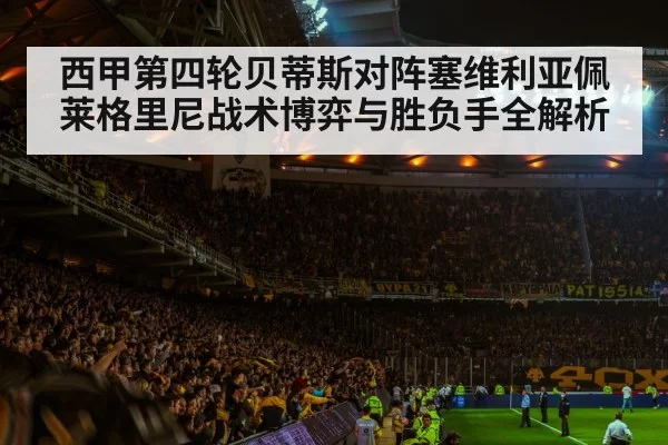 soccer stadium crowd night